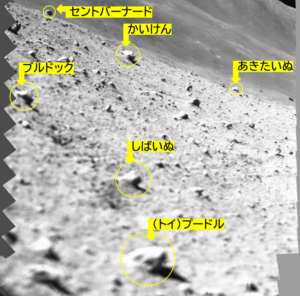 小型月着陸実証機SLIM搭載マルチバンド分光カメラ（MBC）による観測候補岩石名（日本語）		2024/1/20	JAXA/立命館大学/会津大学		Observation cadndidate rock names (Japanese) using the the Smart Lander for Investigating Moon (SLIM) equipped with the Multi-Band Camera (MBC).